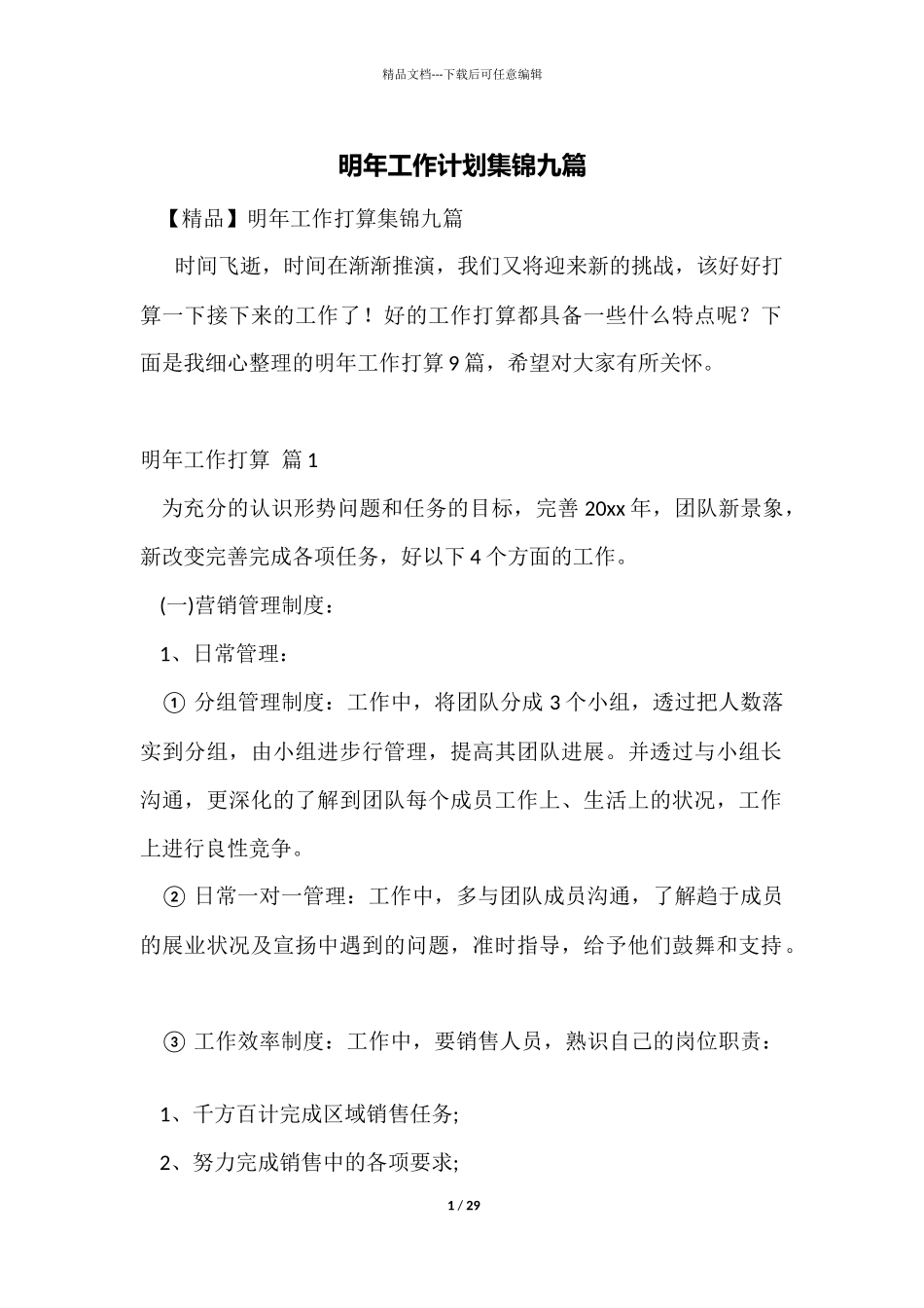 明年工作计划集锦九篇_第1页