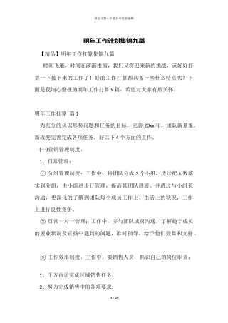 明年工作计划集锦九篇