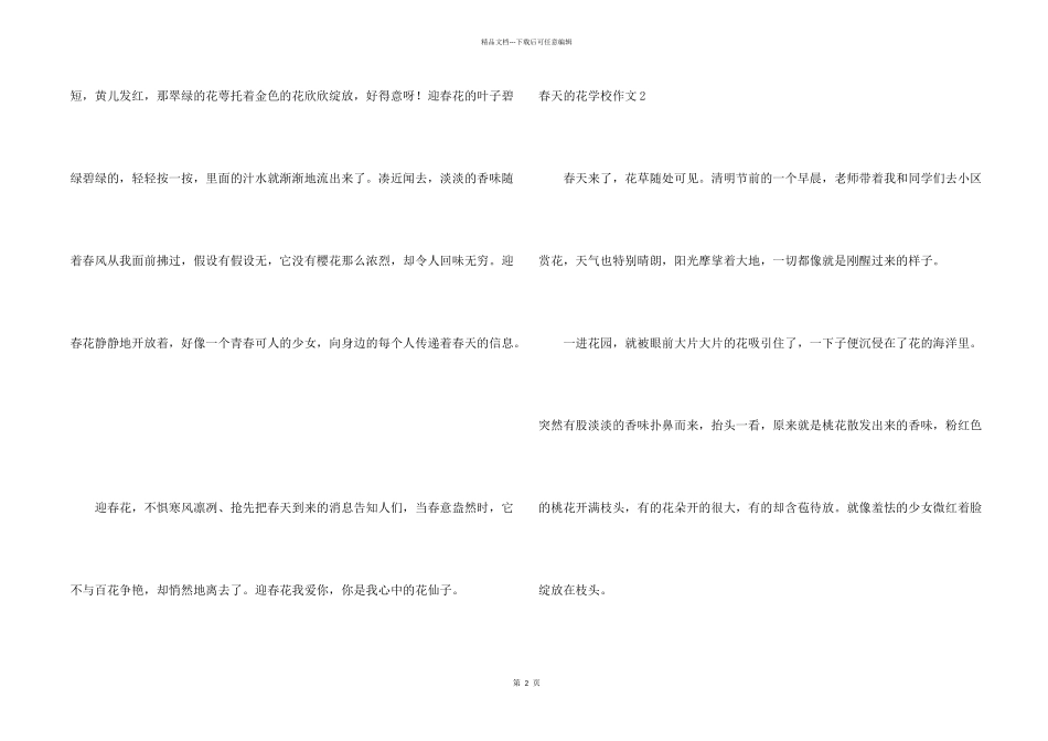 春天的花小学_第2页