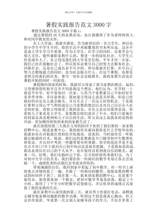 暑假实践报告范文3000字