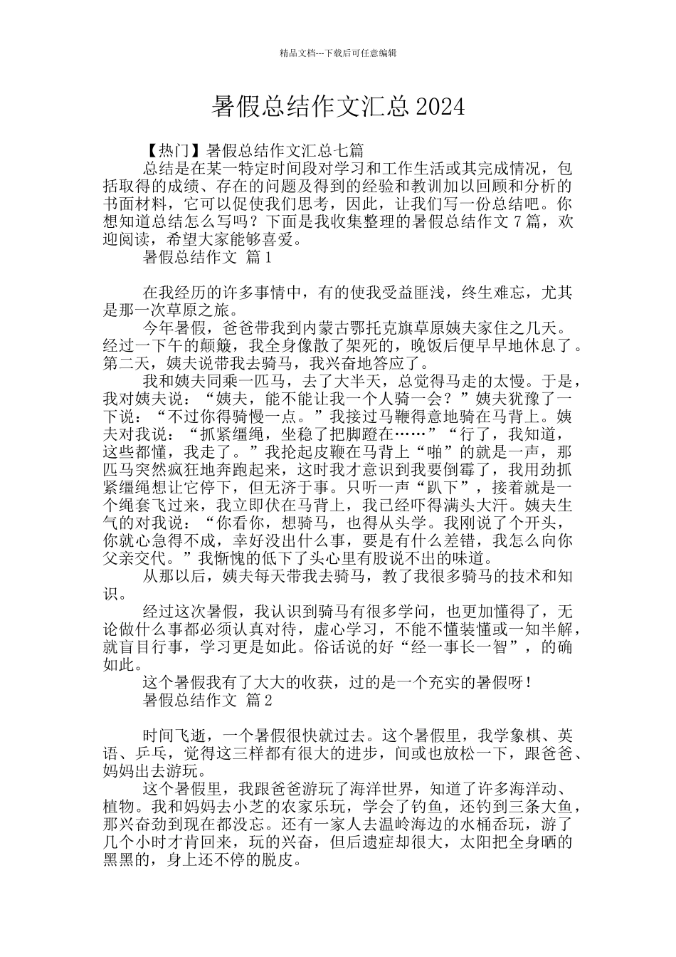 暑假总结作文汇总2024_第1页