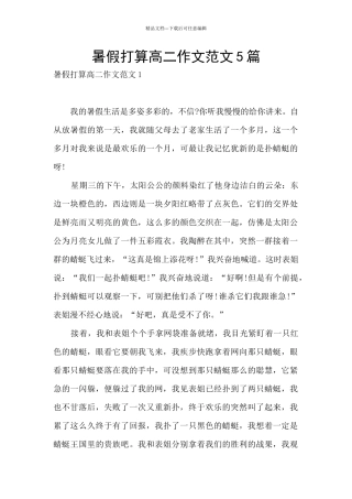 暑假打算高二作文范文5篇