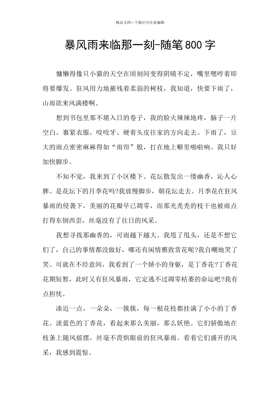 暴风雨来临那一刻_第1页