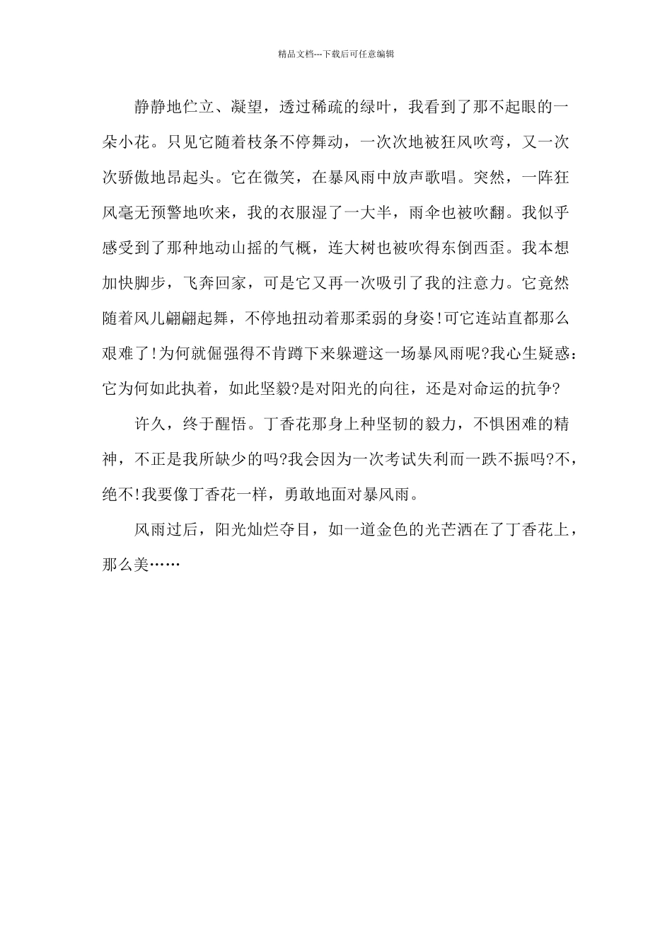 暴风雨来临那一刻_第2页