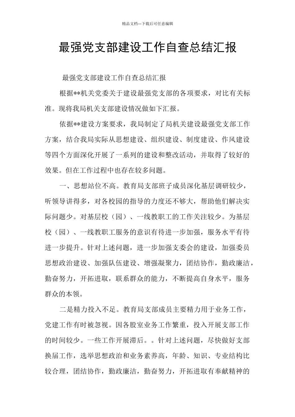 最强党支部建设工作自查总结汇报_第1页