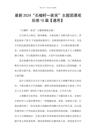 最新2024“石榴籽一家亲”主题团课观后感10篇