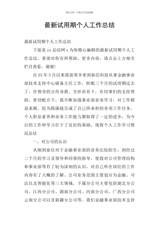最新试用期个人工作总结