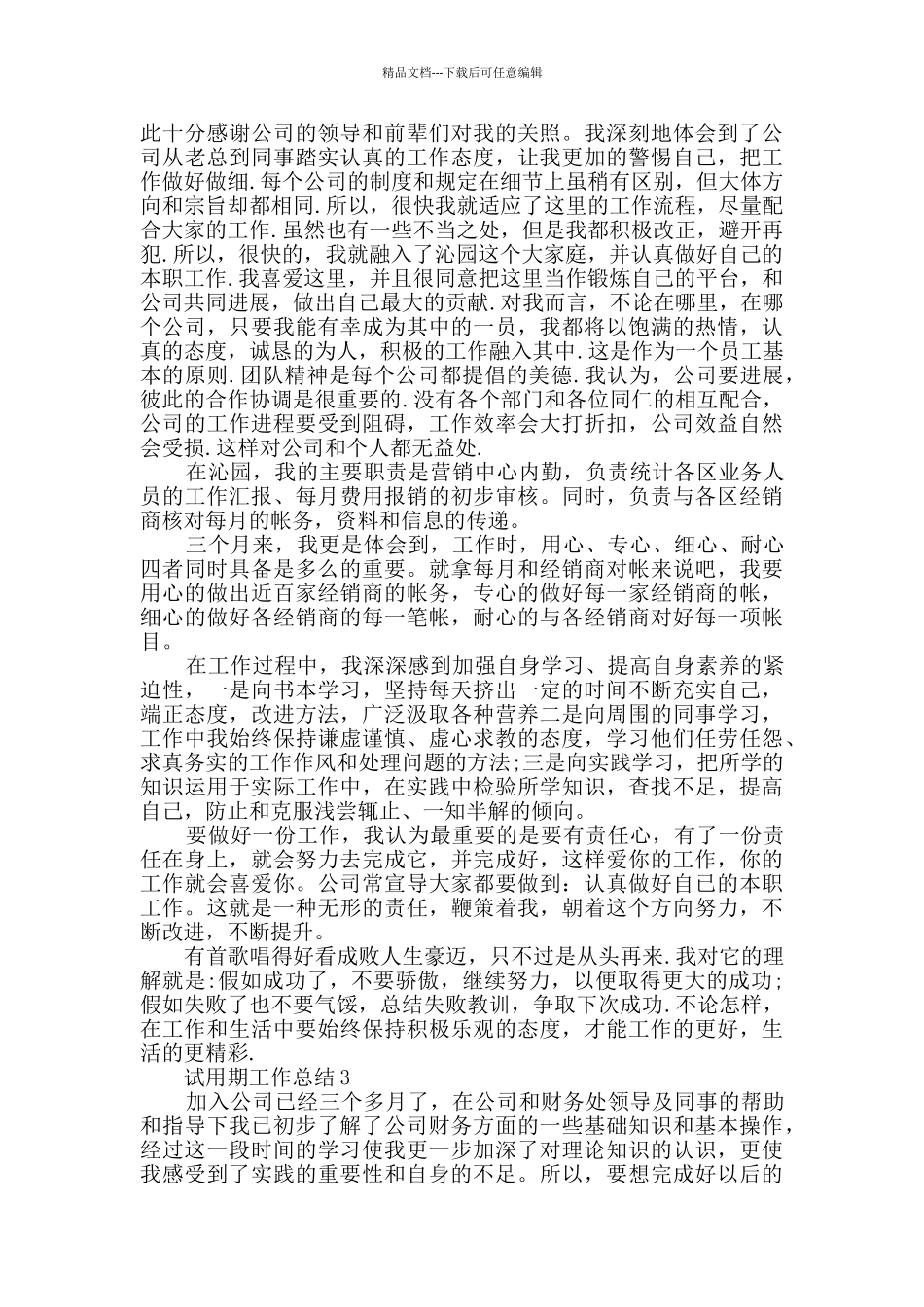最新试用期工作总结精选大全_第3页