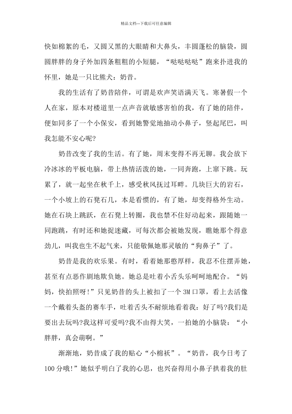 最温暖的陪伴初一作文5篇_第3页