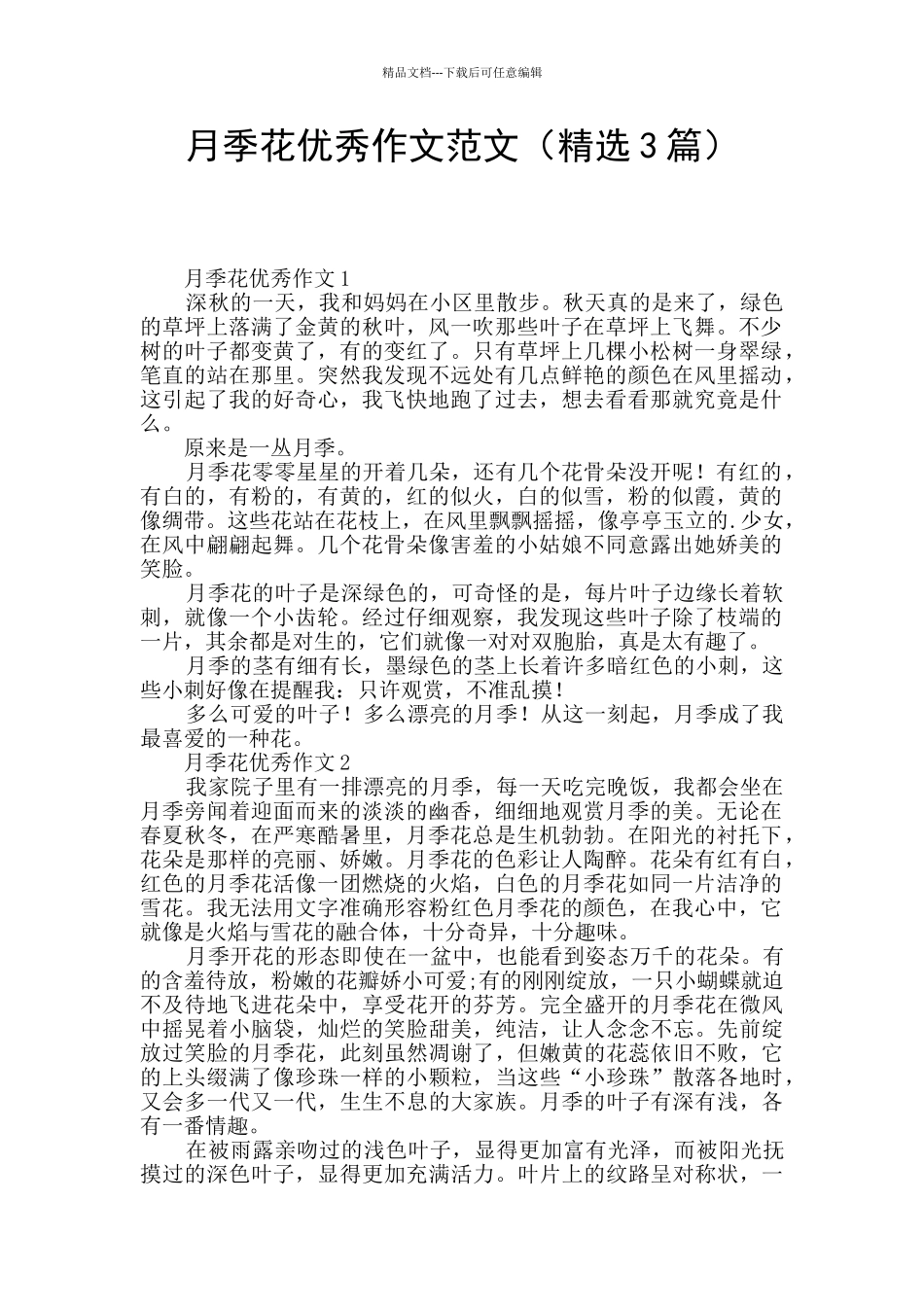 月季花优秀作文范文_第1页