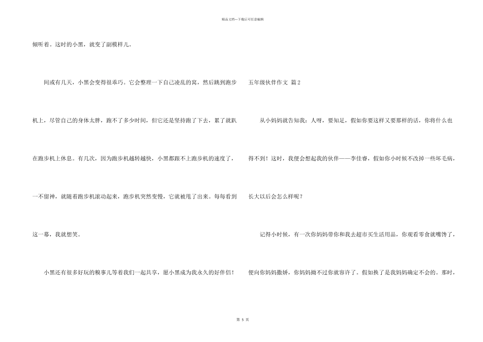 有关五年级伙伴锦集五篇_第2页