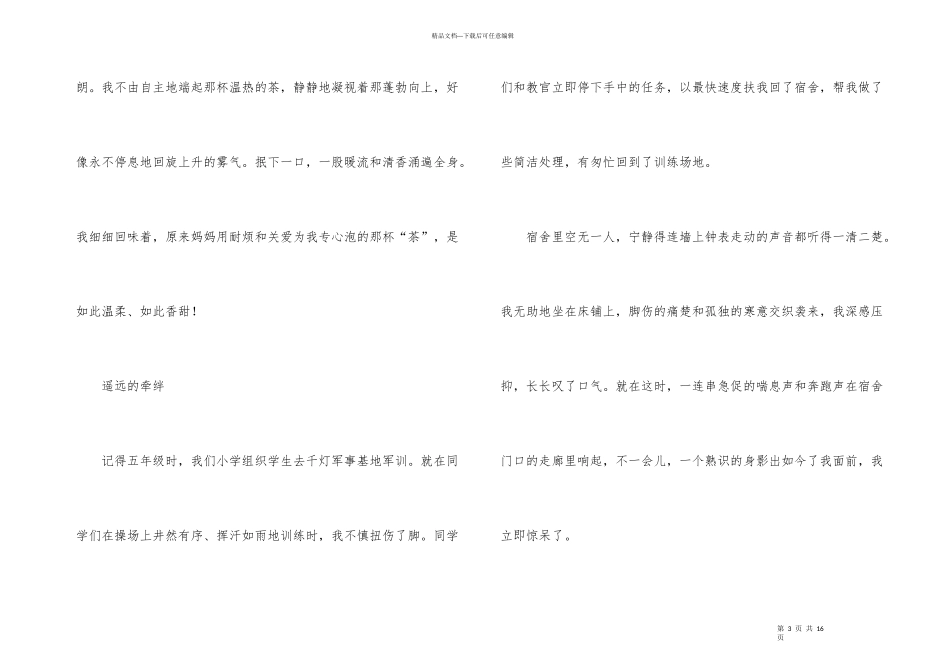 有关以亲情4篇_第3页