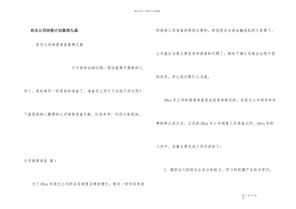 有关公司销售计划集锦九篇_第1页