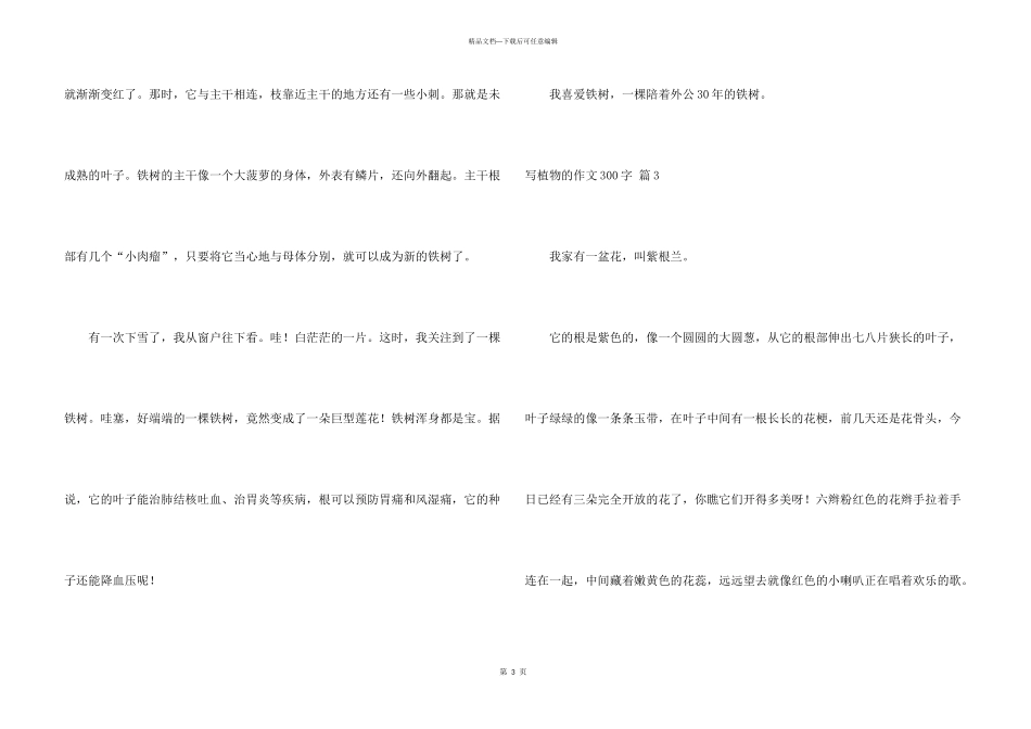 有关写植物的300字合集六篇_第3页