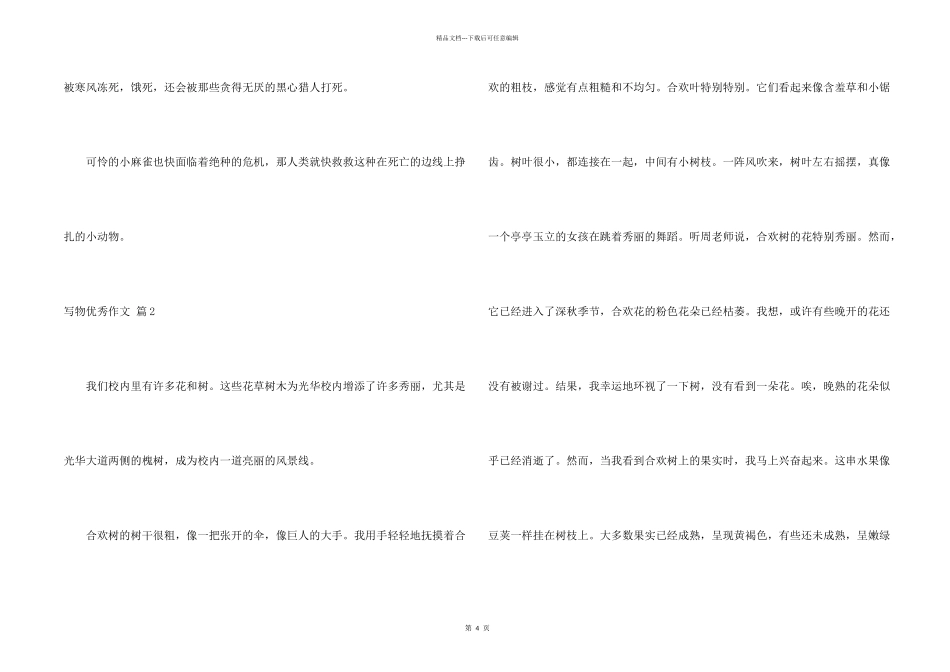 有关写物优秀四篇_第2页