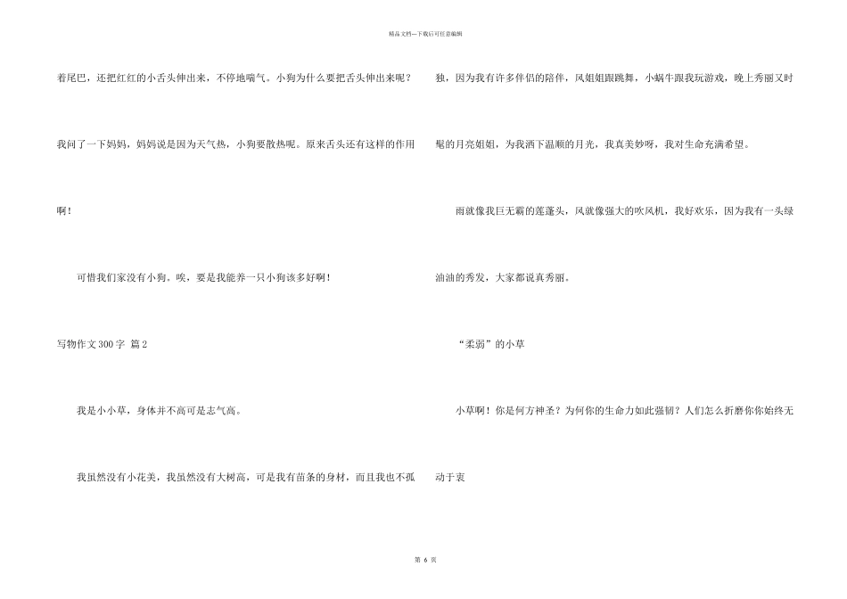 有关写物300字锦集8篇_第2页