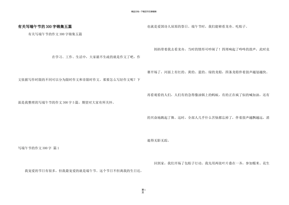 有关写端午节的300字锦集五篇_第1页