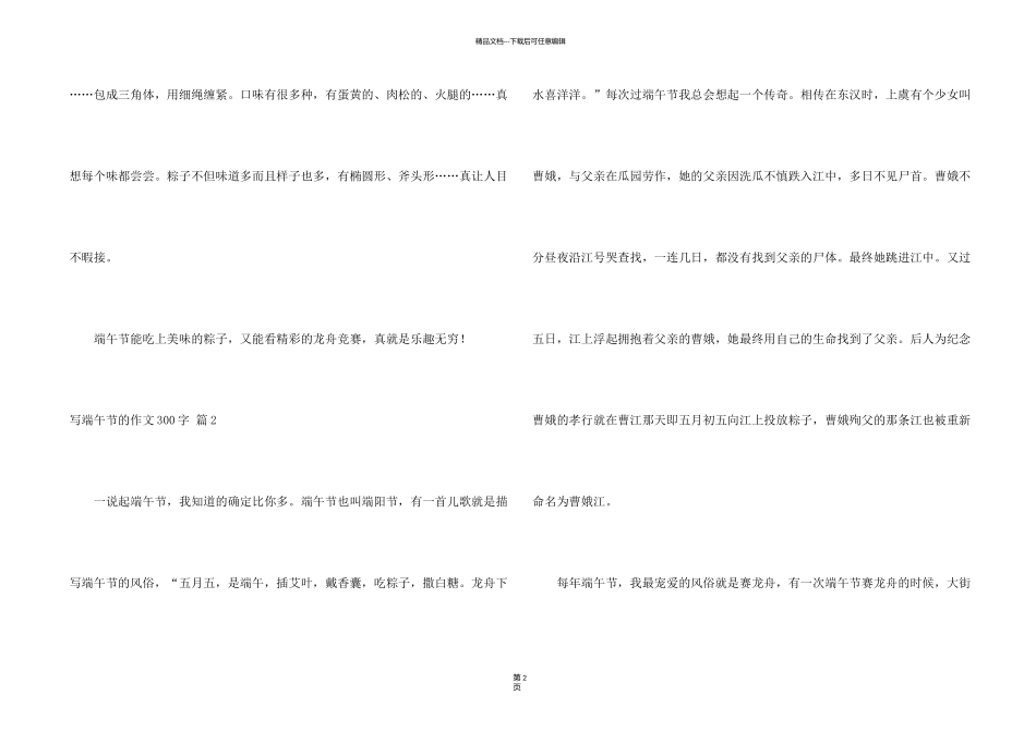 有关写端午节的300字锦集五篇_第2页