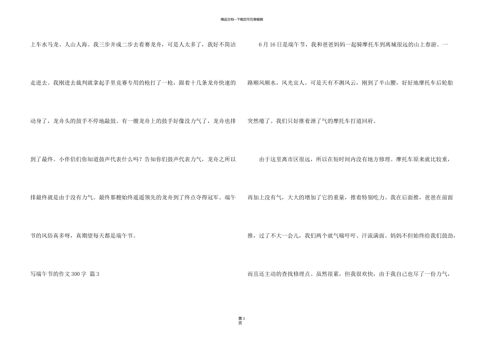 有关写端午节的300字锦集五篇_第3页