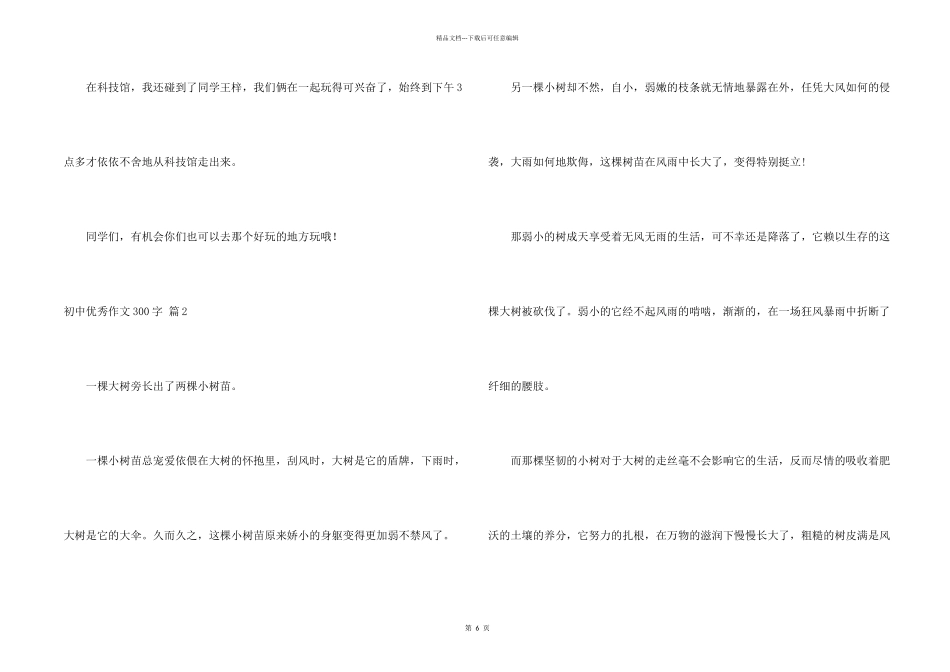 有关初中优秀300字集锦9篇_第2页