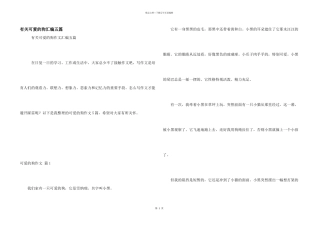 有关可爱的狗汇编五篇