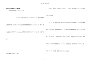 有关可爱的妹妹三年级6篇