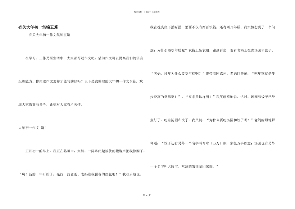 有关大年初一集锦五篇_第1页