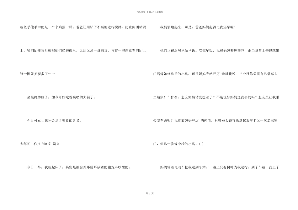 有关大年初二300字锦集七篇_第2页
