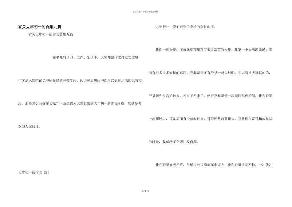 有关大年初一的合集九篇_第1页