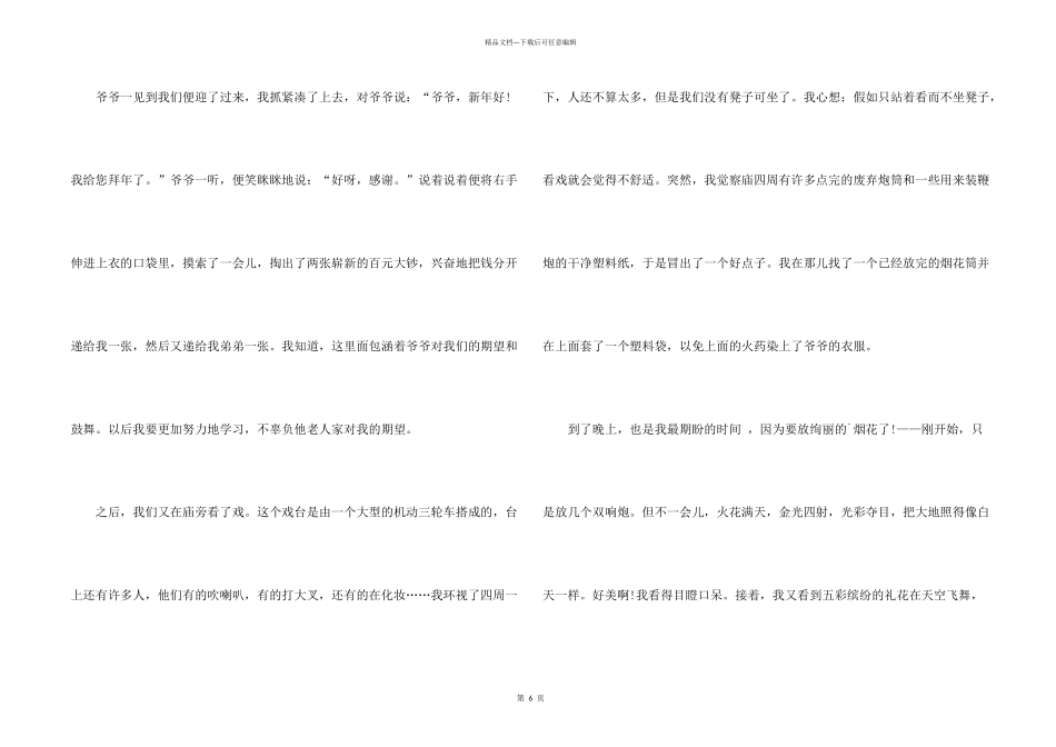 有关家乡的春节初中集锦五篇_第2页