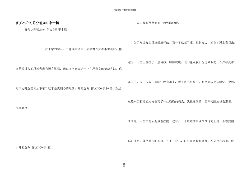 有关小升初满分300字十篇_第1页