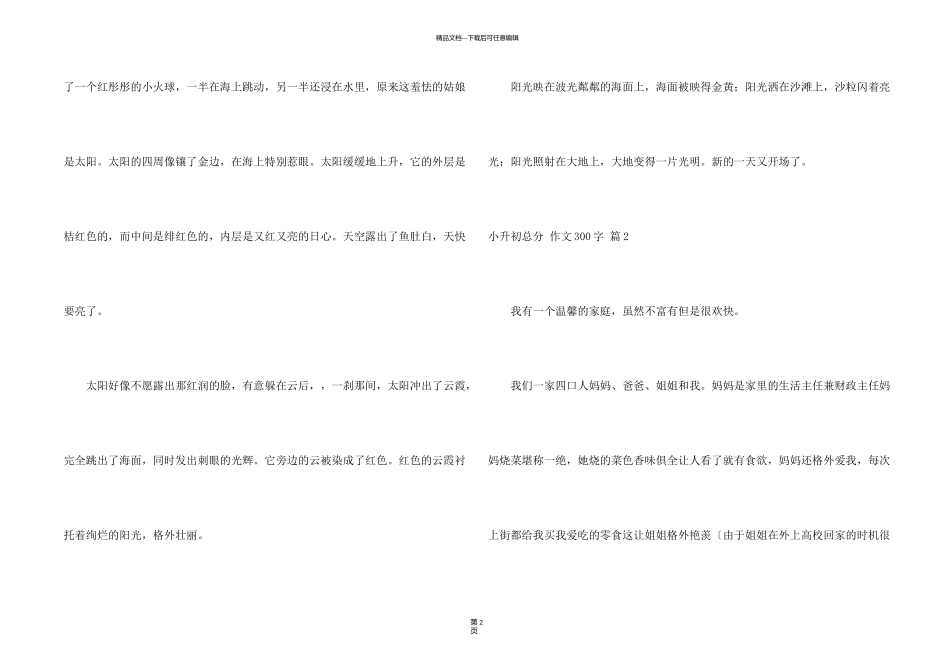 有关小升初满分300字十篇_第2页