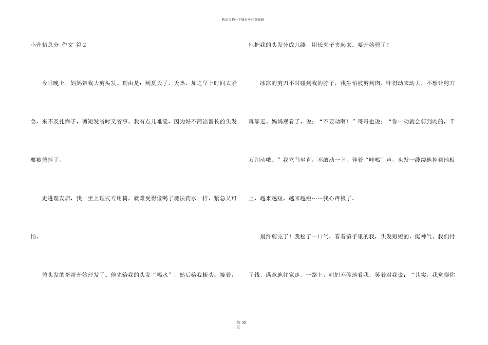 有关小升初满分汇总9篇_第3页