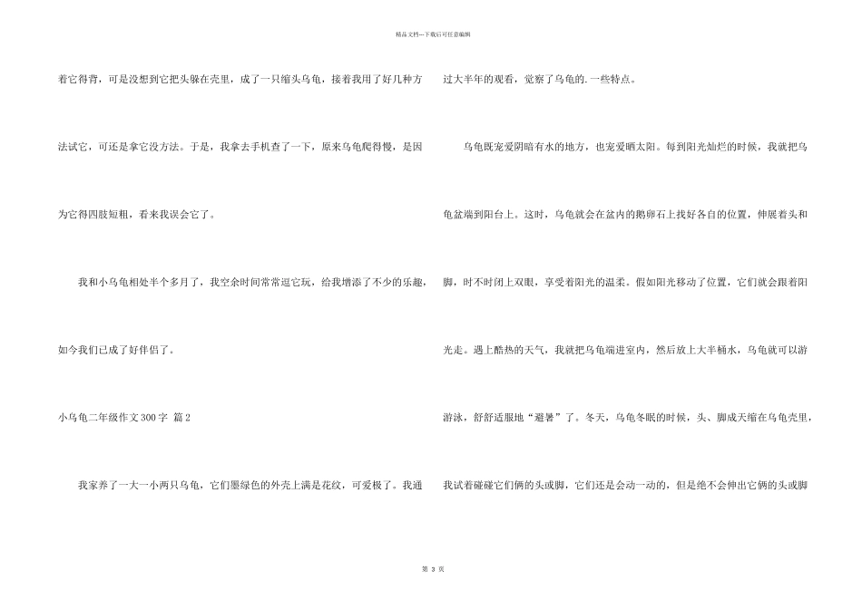 有关小乌龟二年级300字三篇_第2页