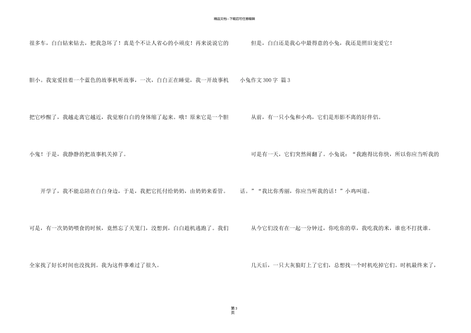 有关小兔300字8篇_第3页