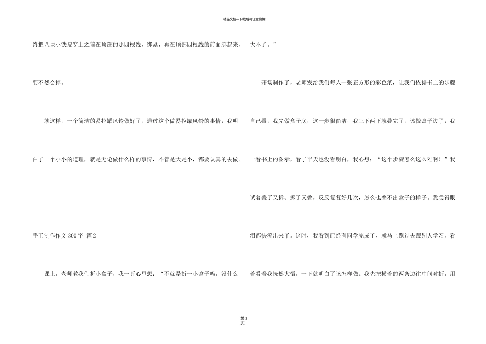 有关手工制作300字汇编9篇_第2页