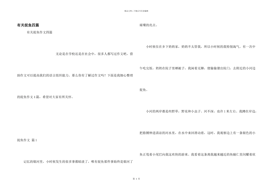有关捉鱼四篇_第1页