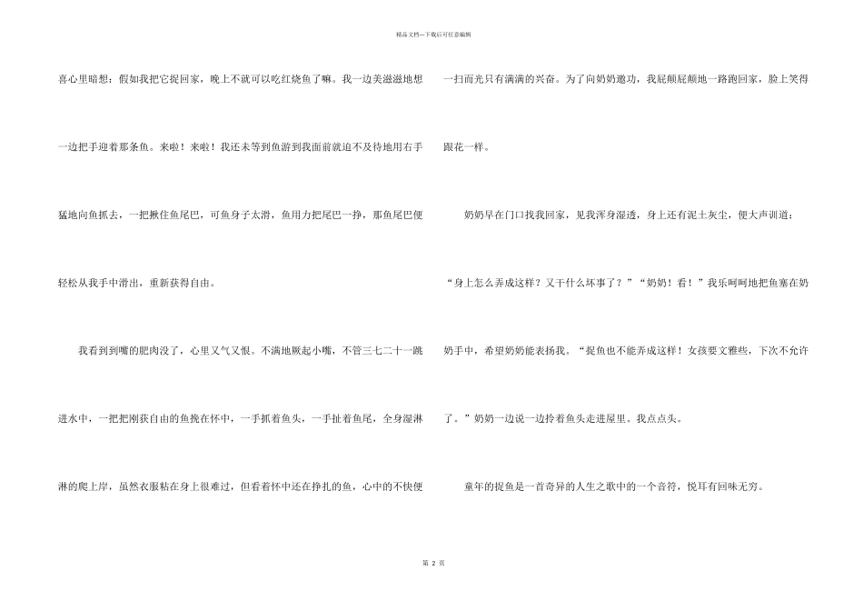 有关捉鱼四篇_第2页