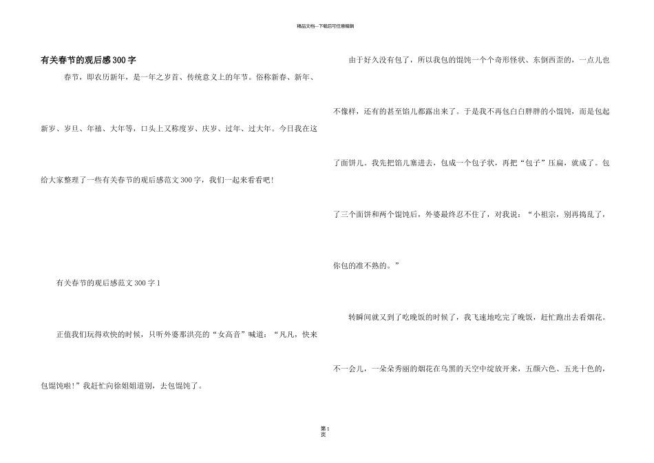 有关春节的观后感300字_第1页