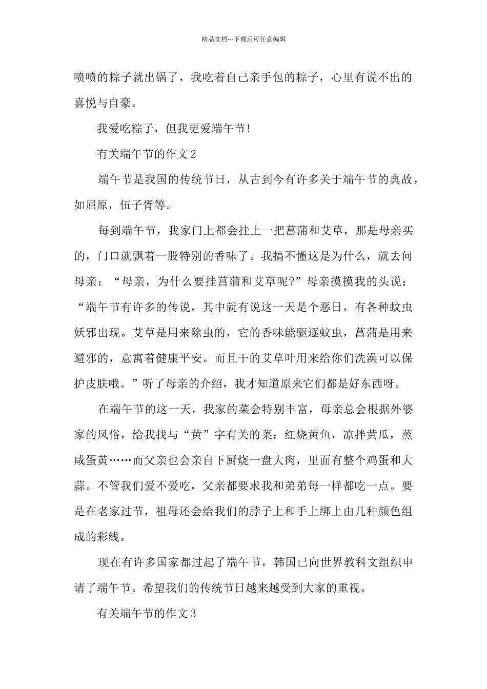 有关端午节的作文8篇_第2页