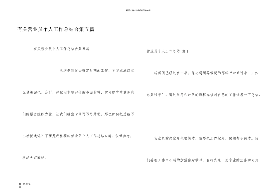 有关营业员个人工作总结合集五篇_第1页