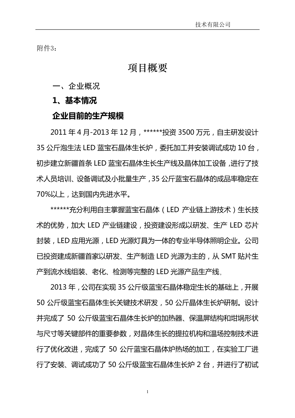 技术改造项目资金申请报告书_第1页
