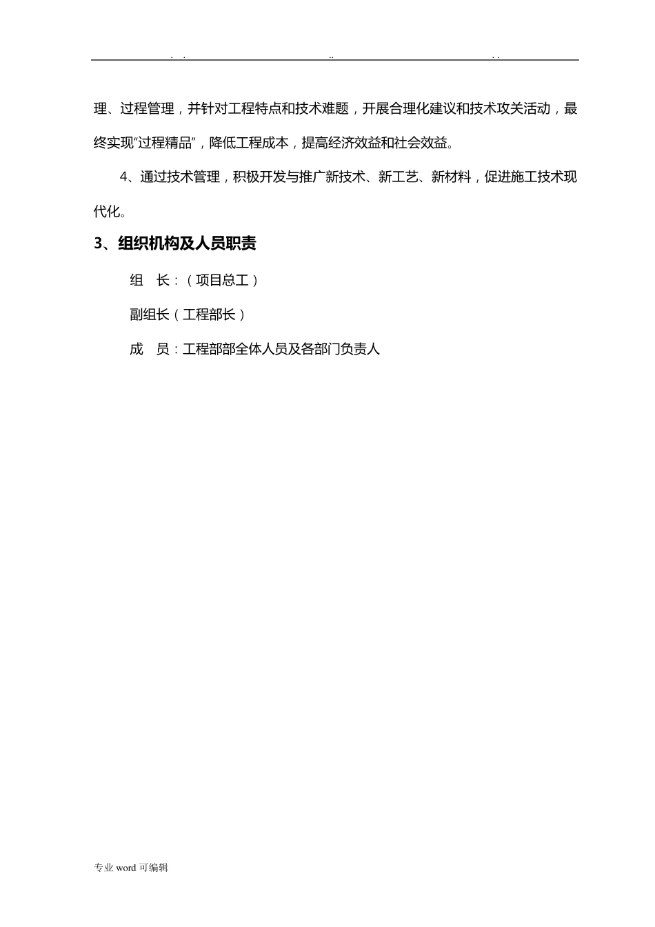 技术管理项目策划书_第3页