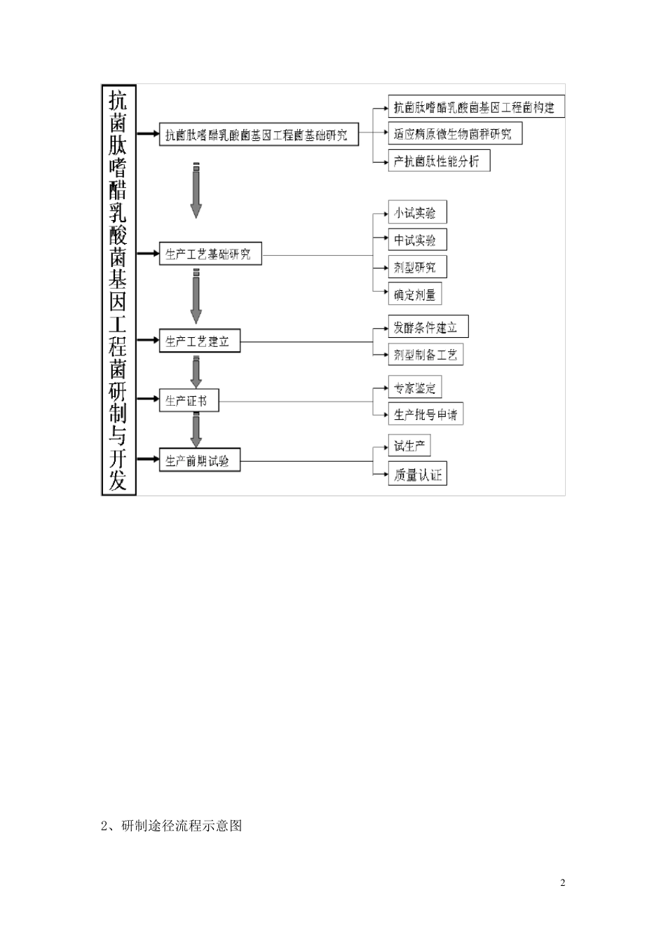 技术路线写法_第2页