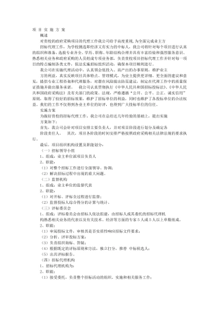 投标实施方案