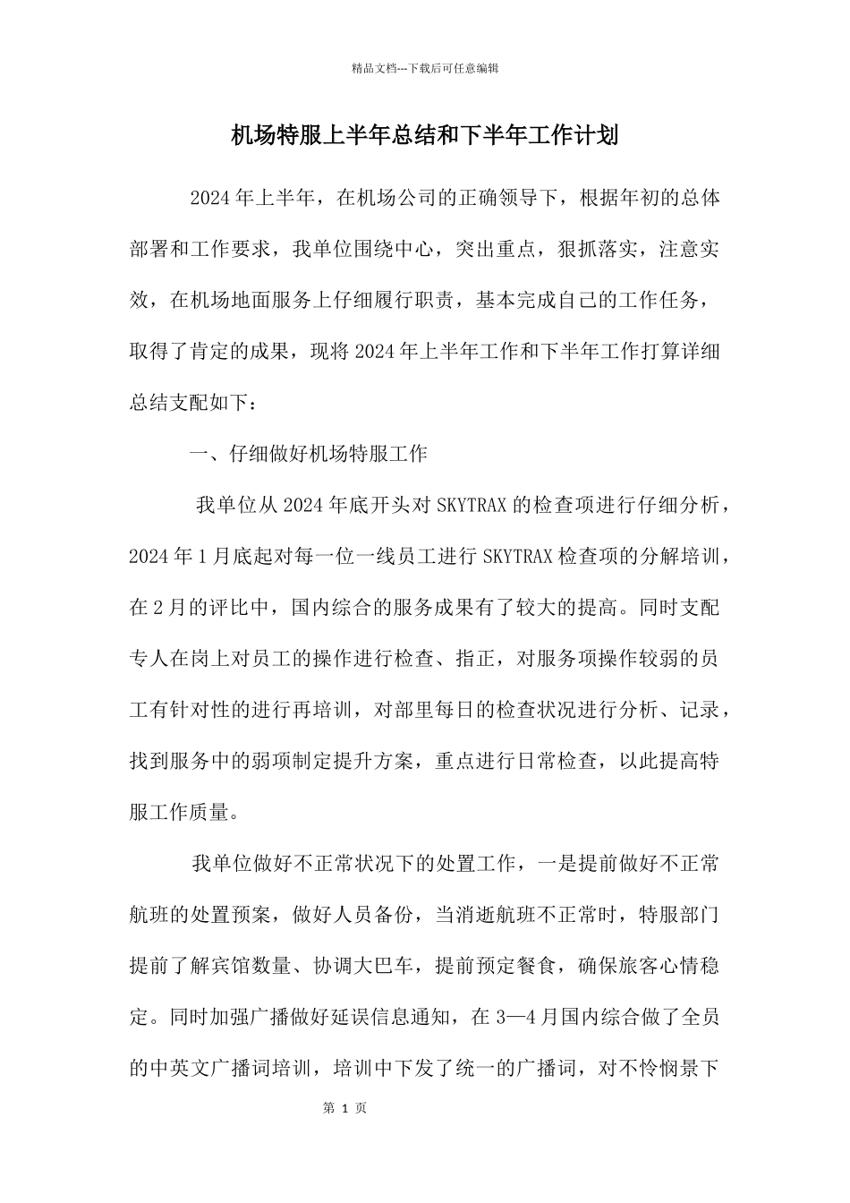 机场特服上半年总结和下半年工作计划_第1页