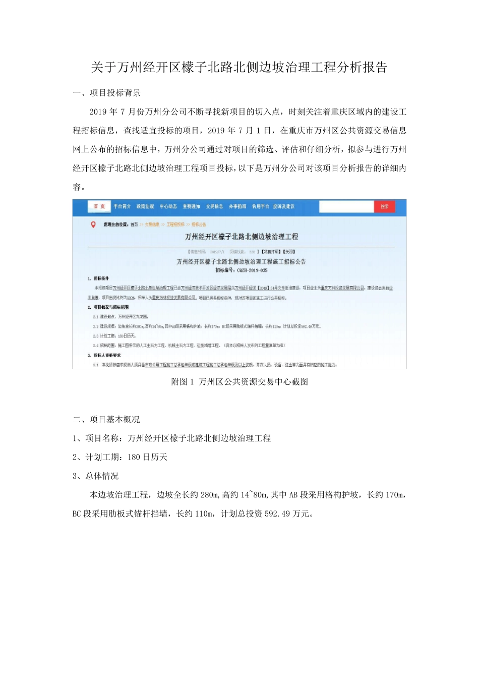 投标项目分析报告_第1页