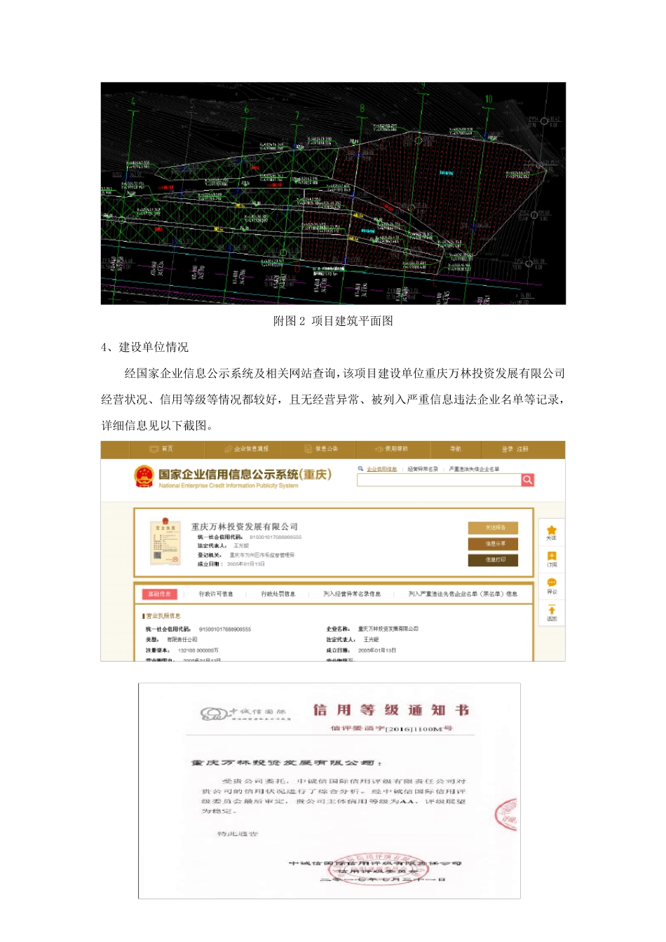 投标项目分析报告_第2页