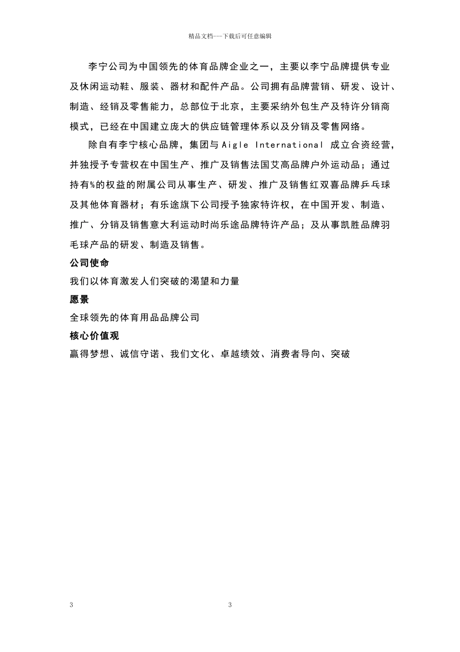 李宁公司案例分析报告_第3页