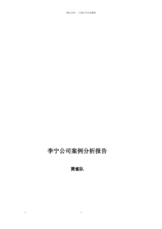 李宁公司案例分析报告